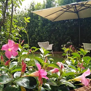 Bio Vivere La Bed & Breakfast Polpenazze del Garda